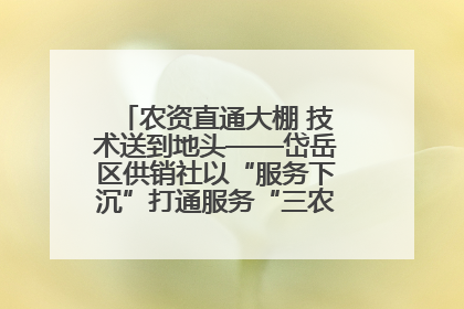 农资直通大棚 技术送到地头——岱岳区供销社以“服务下沉”打通服务“三农”最后一公里