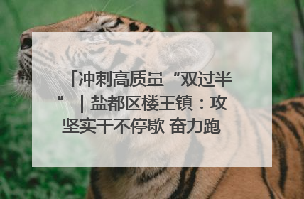 冲刺高质量“双过半”｜盐都区楼王镇：攻坚实干不停歇 奋力跑赢“上半场”