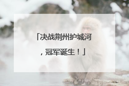 决战荆州护城河，冠军诞生！