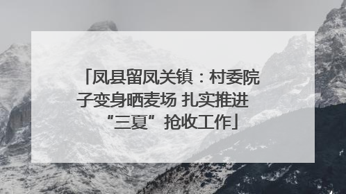凤县留凤关镇：村委院子变身晒麦场 扎实推进“三夏”抢收工作