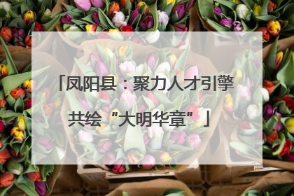 凤阳县：聚力人才引擎 共绘“大明华章”