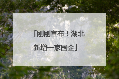 刚刚宣布！湖北新增一家国企