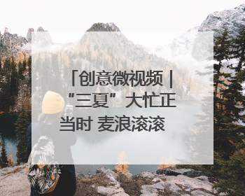 创意微视频｜“三夏”大忙正当时 麦浪滚滚穗飘香