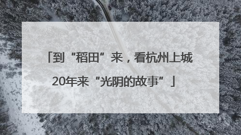 到“稻田”来，看杭州上城20年来“光阴的故事”