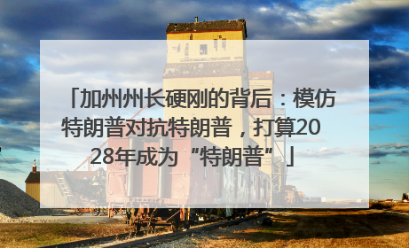 加州州长硬刚的背后：模仿特朗普对抗特朗普，打算2028年成为“特朗普”