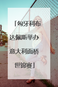 匈牙利布达佩斯举办意大利面桥世锦赛