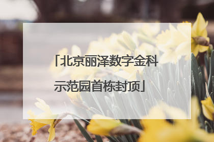 北京丽泽数字金科示范园首栋封顶