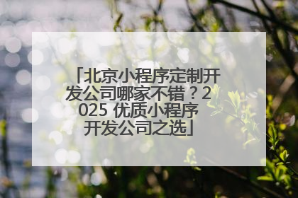 北京小程序定制开发公司哪家不错？2025 优质小程序开发公司之选