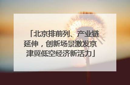 北京排前列、产业链延伸，创新场景激发京津冀低空经济新活力
