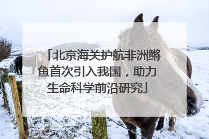 北京海关护航非洲鳉鱼首次引入我国，助力生命科学前沿研究