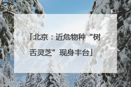 北京：近危物种“树舌灵芝”现身丰台