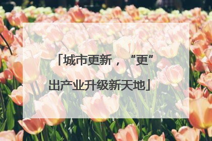 城市更新，“更”出产业升级新天地