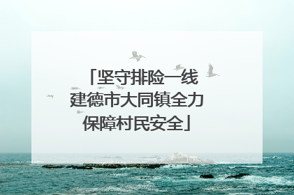 坚守排险一线 建德市大同镇全力保障村民安全