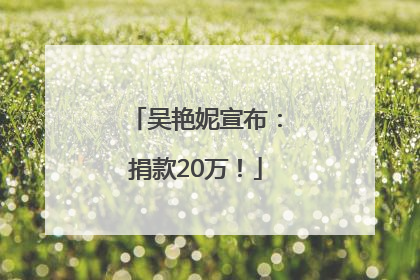 吴艳妮宣布：捐款20万！