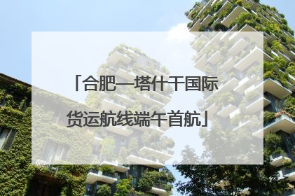 合肥—塔什干国际货运航线端午首航