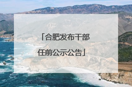 合肥发布干部任前公示公告