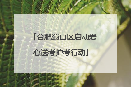 合肥蜀山区启动爱心送考护考行动