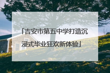 吉安市第五中学打造沉浸式毕业狂欢新体验