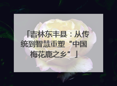 吉林东丰县：从传统到智慧重塑“中国梅花鹿之乡”