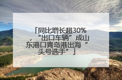 同比增长超30%，“出口车辆”成山东港口青岛港出海“头号选手”