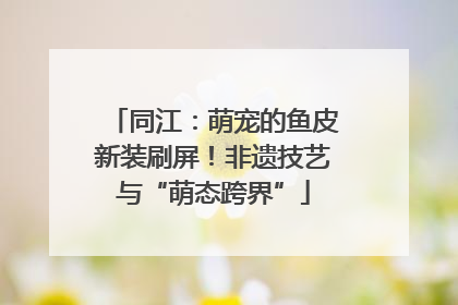 同江：萌宠的鱼皮新装刷屏！非遗技艺与“萌态跨界”