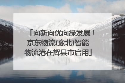 向新向优向绿发展！京东物流(豫北)智能物流港在辉县市启用