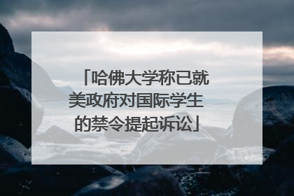 哈佛大学称已就美政府对国际学生的禁令提起诉讼