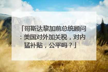 哥斯达黎加前总统顾问：美国对外加关税，对内猛补贴，公平吗？