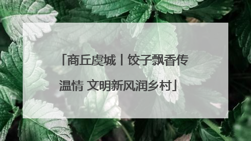 商丘虞城丨饺子飘香传温情 文明新风润乡村