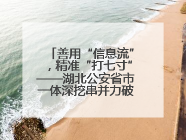 善用“信息流”，精准“打七寸”——湖北公安省市一体深挖串并力破民生案