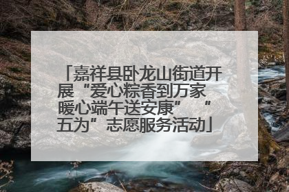 嘉祥县卧龙山街道开展“爱心粽香到万家 暖心端午送安康” “五为”志愿服务活动