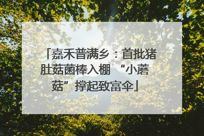 嘉禾普满乡：首批猪肚菇菌棒入棚 “小蘑菇”撑起致富伞