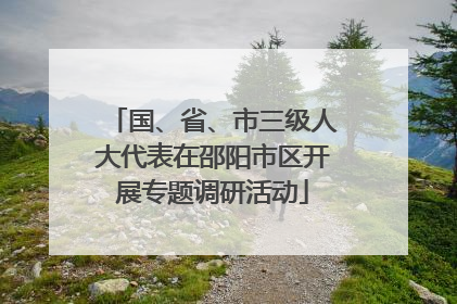 国、省、市三级人大代表在邵阳市区开展专题调研活动