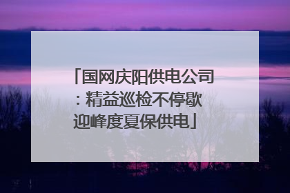 国网庆阳供电公司：精益巡检不停歇 迎峰度夏保供电