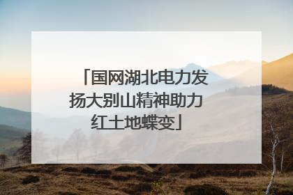 国网湖北电力发扬大别山精神助力红土地蝶变