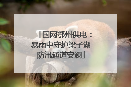 国网鄂州供电：暴雨中守护梁子湖防汛通道安澜