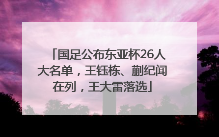 国足公布东亚杯26人大名单，王钰栋、蒯纪闻在列，王大雷落选
