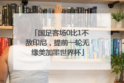 国足客场0比1不敌印尼，提前一轮无缘美加墨世界杯