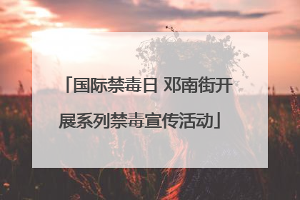 国际禁毒日 邓南街开展系列禁毒宣传活动