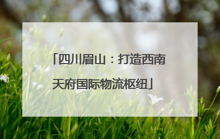 四川眉山：打造西南天府国际物流枢纽