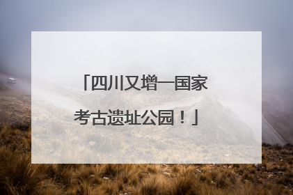 四川又增一国家考古遗址公园！