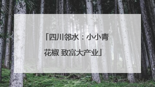 四川邻水：小小青花椒 致富大产业
