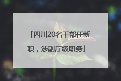 四川20名干部任新职，涉副厅级职务