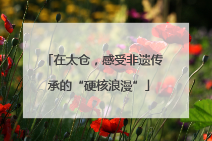 在太仓，感受非遗传承的“硬核浪漫”