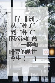 在非洲，从“种子”到“杯子”的遥远距离——一颗咖啡豆的前世今生（三）
