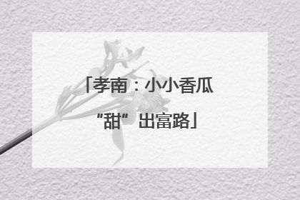孝南：小小香瓜 “甜”出富路
