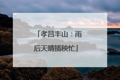 孝昌丰山：雨后天晴插秧忙