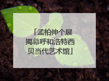 孟柏伸个展 揭幕呼和浩特西贝当代艺术馆