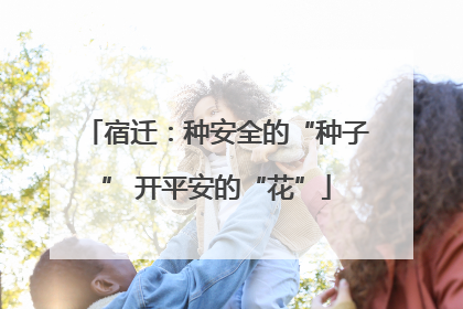 宿迁：种安全的“种子” 开平安的“花”