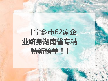 宁乡市62家企业跻身湖南省专精特新榜单！